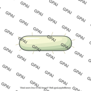 Rod shaped bacterium