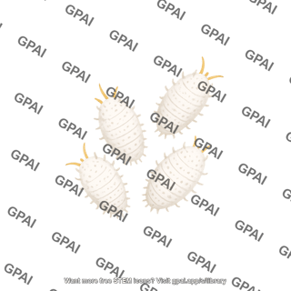 Mealybugs
