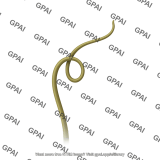 Grape tendril