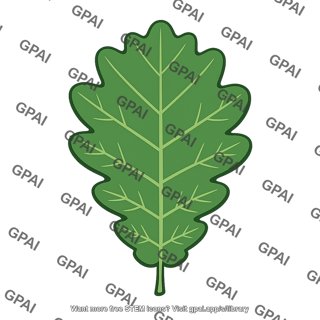 Downy oak leaf
