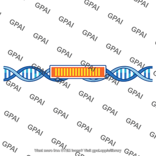 Beta hemoglobin gene
