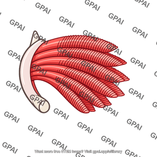 Fish gill