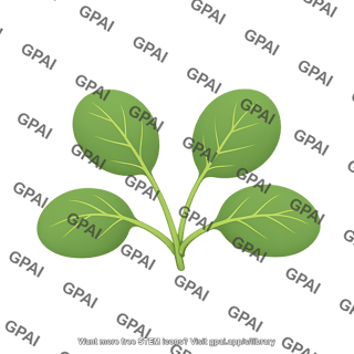 Arabidopsis rosette leaf 4