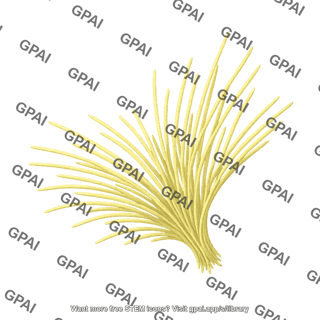 Trichodesmium tuft