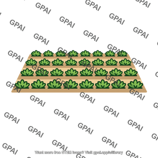Crop rows