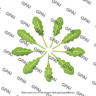 Arabidopsis rosette leaf 8