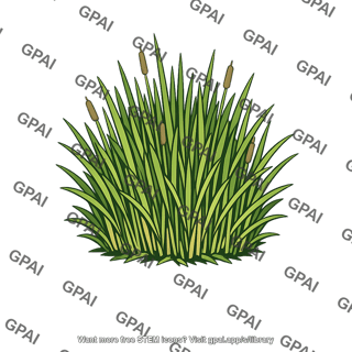 Wetland vegetation biomass