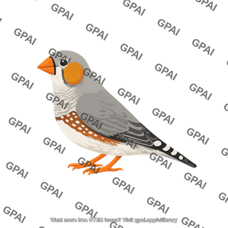 Zebra finch taeniopygia guttata