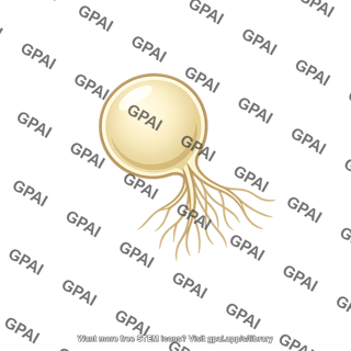 Chytrid fungus