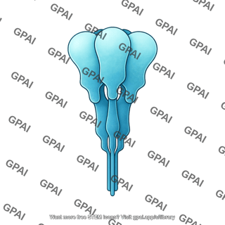 Viral hemagglutinin trimer