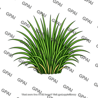 Mesic grass