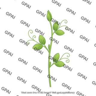 Pea plant seedling