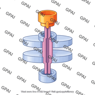 Type 1 secretion system tolc