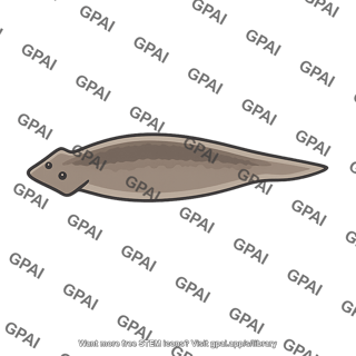 Freshwater planarian