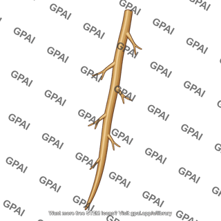Plant root medium