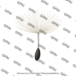 Seed wind dispersed