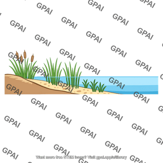 Littoral zone lake