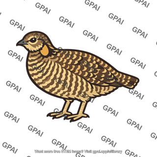 Prairie chicken