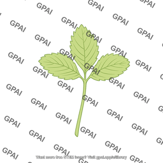 Strawberry plant immature leaf