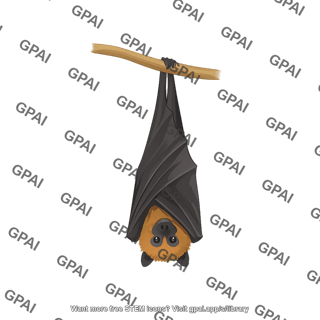 Fruit bat pteropus roosting