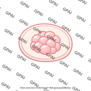 Early cell mass embryo