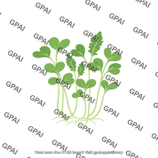 Kale microgreens