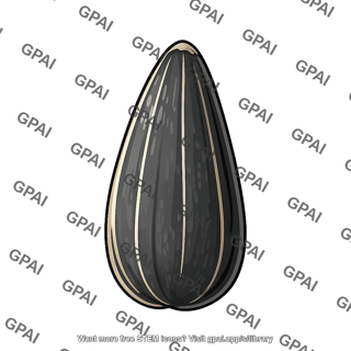 Sunflower seed