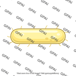 Sulfur bacterium