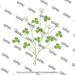 Subterranean clover 2