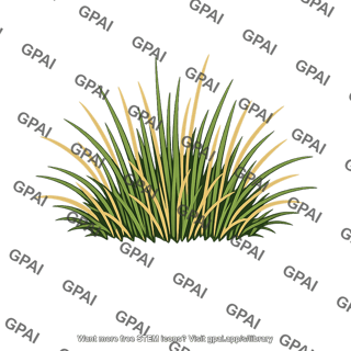 Temperate grassland bunchgrass tuft