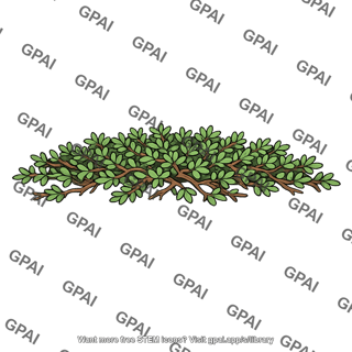 Prostrate woody shrub