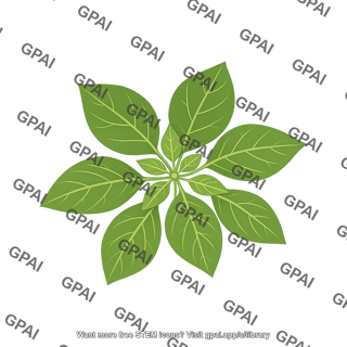 Nicotiana benthamiana top view
