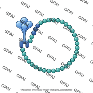 Lasv l rna