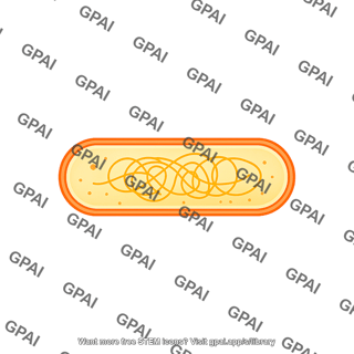 E. coli without flagella and pili