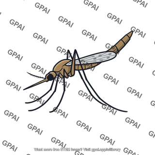 Malaria mosquito