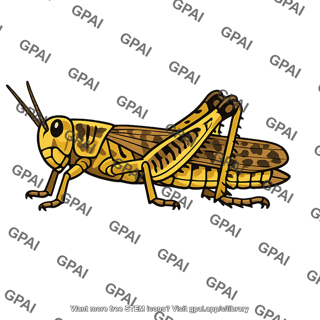 Migratory locust gregarious