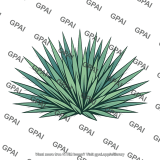 Yucca plant