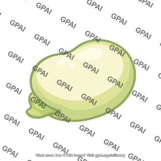 Faba bean 628
