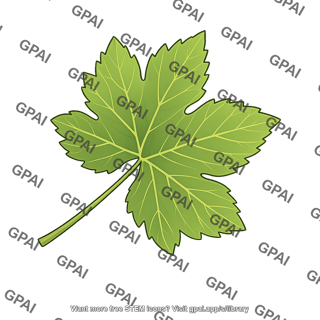 Grape leaf 2