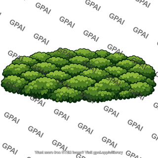 Forest canopy