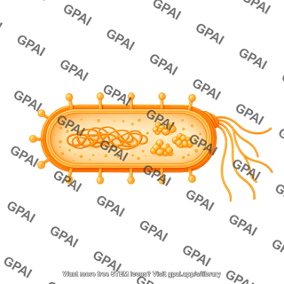 Bacillus protein