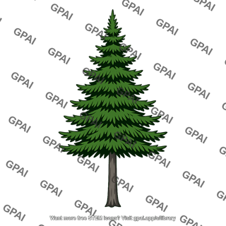 Fir tree