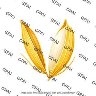 Rice husk