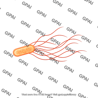 E. coli long flagella
