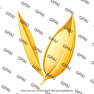 Rice husk