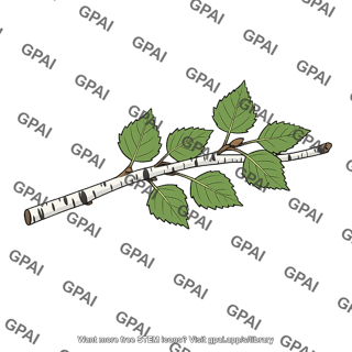 Birch twig