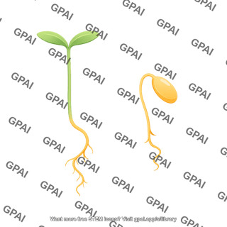 Seedling 4