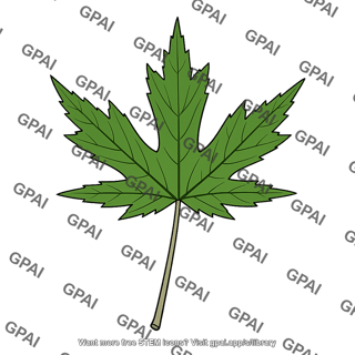 Silver maple leaf
