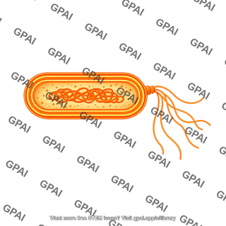 Bacillus gram negative cross section with flagella