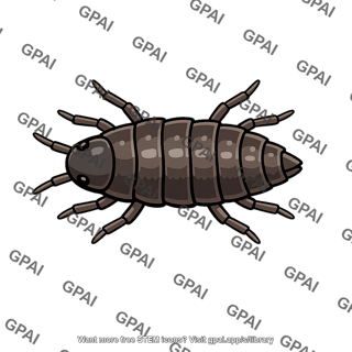 Arthropod